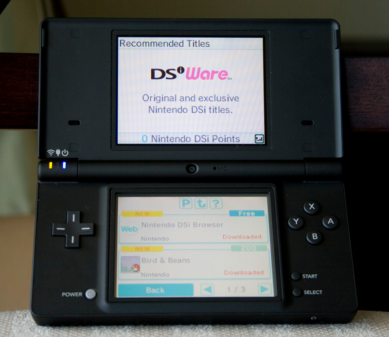 Illustration for article titled Nintendo DSi Review